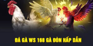 Sảnh gà WS 168 uy tín tại BJ38
